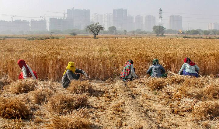प्रधानमंत्री नरेंद्र मोदी ने तीसरी बार पीएम बनने के बाद सबसे पहले पीएम किसान योजना की किस्त वाली फाइल पर साइन कर दिए.