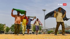 Punjab Weather: पंजाब में अभी नहीं मिलेगी गर्मी से राहत, जानें- अगले 5 दिनों तक कैसा रहेगा मौसम का मिजाज?