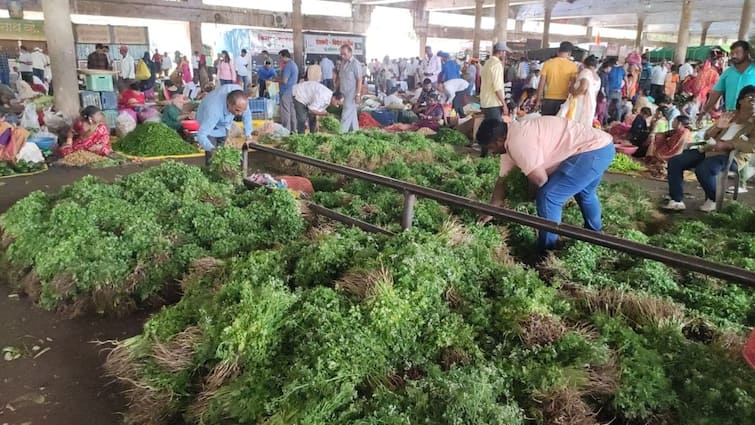 Vegetables became expensive due to decline in income in Nashik s market committee Maharashtra Marathi News कोथिंबीर, कांदापातीने गाठली शंभरी, नाशिकच्या बाजार समितीत आवक घटल्याने भाज्या महागल्या