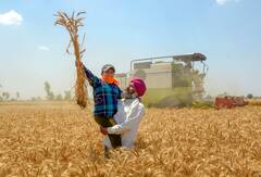 PM Kisan Yojana: पीएम किसान योजना की फाइल पर पीएम मोदी ने कर दिए साइन, किस्त जारी होने से पहले तुरंत कर लें ये काम