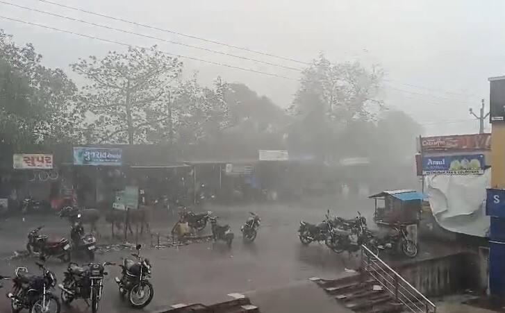 Rain with strong winds in areas including Vijpadi of Savarkundla Amreli Amreli Rain: સાવરકુંડલાના વીજપડી સહિતના વિસ્તારોમાં ભારે પવન સાથે ધોધમાર વરસાદ