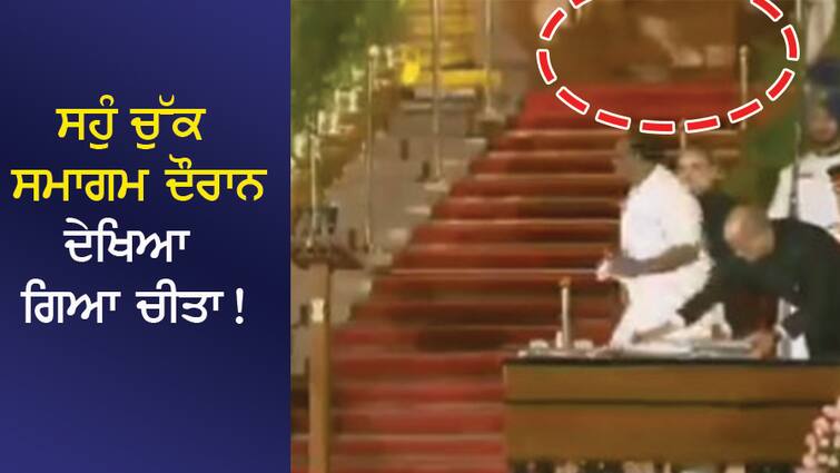 Video: A leopard was seen during the swearing-in ceremony in Rashtrapati Bhavan! Caught in the camera! Video: ਰਾਸ਼ਟਰਪਤੀ ਭਵਨ 'ਚ ਸਹੁੰ ਚੁੱਕ ਸਮਾਗਮ ਦੌਰਾਨ ਦੇਖਿਆ ਗਿਆ ਚੀਤਾ! ਕੈਮਰੇ 'ਚ ਹੋਇਆ ਕੈਦ !