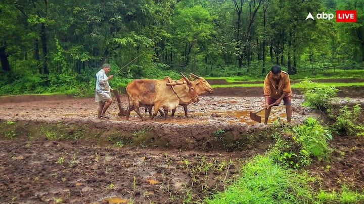 PM Kisan Yojana: अगले कुछ ही दिनों में करोड़ों किसानों को पीएम किसान योजना की अगली किस्त मिल सकती है, पीएम मोदी ने योजना की अगली किस्त वाली फाइल पर साइन कर दिए हैं.