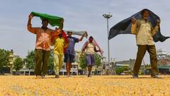 ક્યાંક અંગ દઝાડતી ગરમી તો આ રાજ્યોમાં પડશે ધોધમાર વરસાદ, જાણો બે દિવસ કેવું રહેશે હવામાન