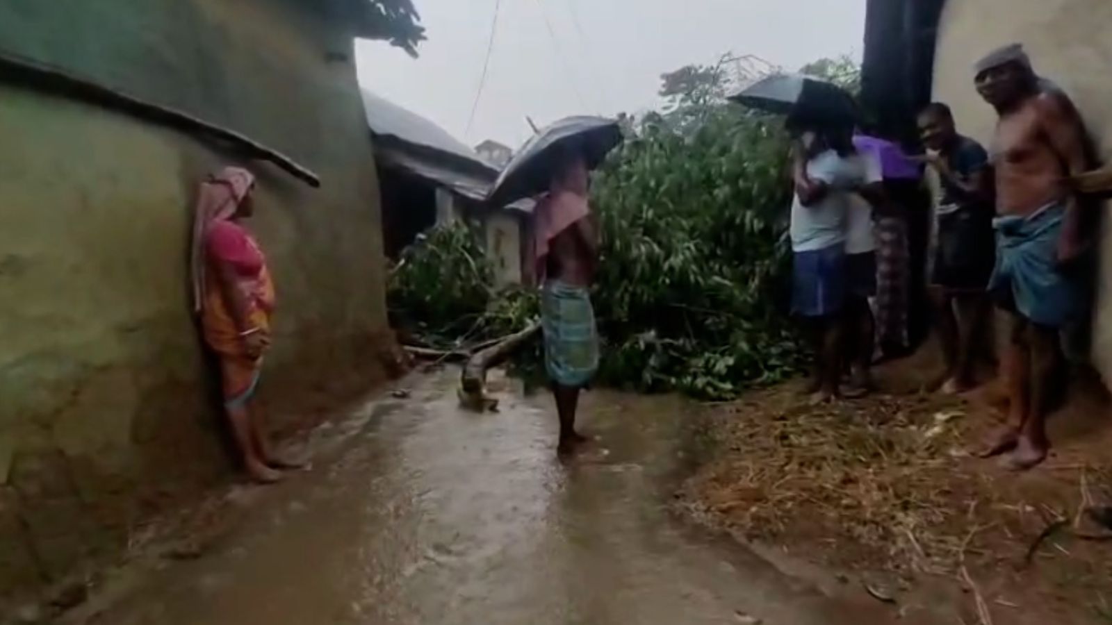 West Bengal Lightning Death: কয়েক মিনিটের ঝড়ে লন্ডভন্ড বাঁকুড়ার এই গ্রাম, বজ্রপাতে মৃত্যু গৃহবধূর..