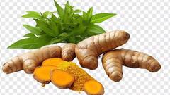 Uric Acid: यूरिक एसिड की हो जाएगी छुट्टी, इस जूस से समस्या हो जाएगी दूर