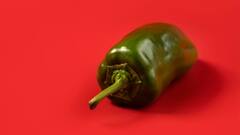 Green Chili Benefits: কাঁচালঙ্কা ঝাল হলেও অনেক গুণ