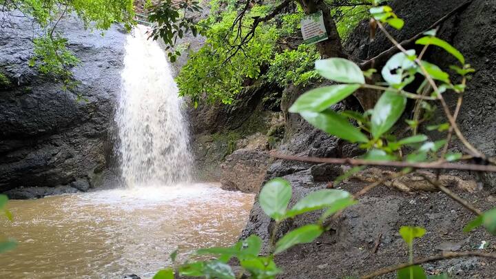 याठिकाणी पावसाळ्यात पर्यटक मोठ्या संख्येने गर्दी करतात. या काळात येथील हा धबधबा पर्यटकांचं विशेष आकर्षण ठरतो. गेल्या दोन दिवसात झालेल्या पावसामुळे हा धबधबा आता मोठ्या जोमानं सुरू झाला.