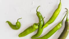 Green Chili Benefits: কাঁচালঙ্কা ঝাল হলেও অনেক গুণ