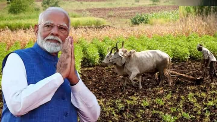 PM Kisan Saturation Campaign: સરકાર દ્વારા ખેડૂતો માટે PM Kisan Saturation અભિયાન ચલાવવામાં આવી રહ્યું છે.