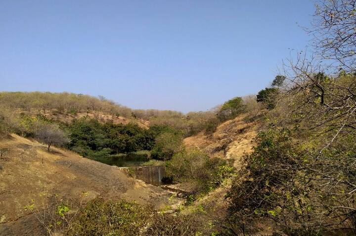 विशेष म्हणजे उन्हाळ्यात कोरडा पडलेला हा धबधबा आता वाहू लागल्याने पर्यटक आणि धाराशिवकरांनी आनंद व्यक्त केला आहे