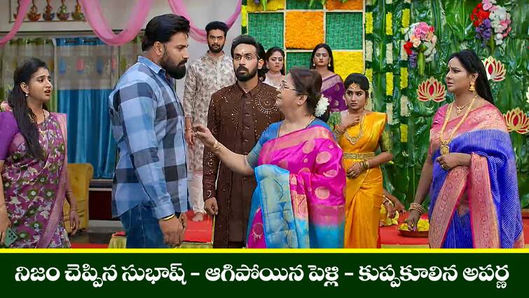 brahmamudi serial today episode June 11th written update Brahmamudi Serial Today  June 11th - ‘బ్రహ్మముడి’ సీరియల్‌ : నిజం చెప్పిన సుభాష్‌ - కుప్పకూలిపోయిన అపర్ణ, మాయను చంపేస్తానన్న రుద్రాణి