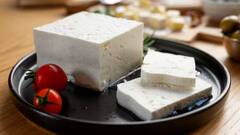 Paneer: ਫੈਕਟਰੀ 'ਚ ਕਿਵੇਂ ਬਣਦਾ ਪਨੀਰ? ਜਾਣੋ ਕਿਹੜੇ ਕੈਮੀਕਲ ਦੀ ਹੁੰਦੀ ਵਰਤੋਂ