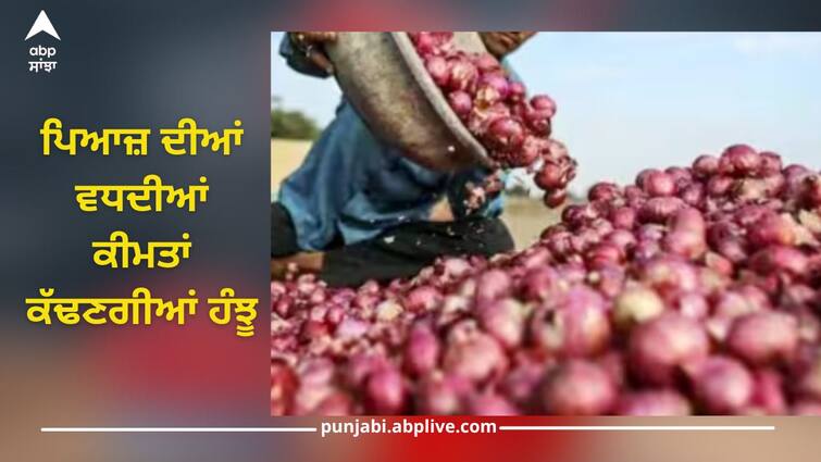 onion prices have increased by 30-50 percent in last fortnight due to demand supply mismatch details inside abpp Onion Price Hike: ਤੜਕਾ ਲਗਾਉਣਾ ਵੀ ਹੋ ਜਾਵੇਗਾ ਮਹਿੰਗਾ! ਜਾਣੋ ਭਵਿੱਖ 'ਚ ਹੋਰ ਕਿੰਨੀਆਂ ਵੱਧ ਸਕਦੀਆਂ ਪਿਆਜ਼ ਦੀਆਂ ਕੀਮਤਾਂ