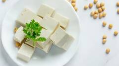 Paneer: ફેક્ટરીમાં કેવી રીતે બને છે પનીર, જાણો કયા કેમિકલનો થાય છે ઉપયોગ?