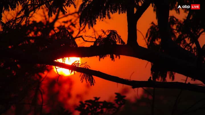 सरकारी आंकड़ों के अनुसार, अनुमान है कि वहां भारतीय मूल के लगभग 8500 लोग हैं. वे मुख्यतः गुजरात से गए हैं.वे लिलोंग्वे, ब्लैंटायर, ज़ोम्बा और मज़ुज़ु जैसे शहरों में रहते हैं.