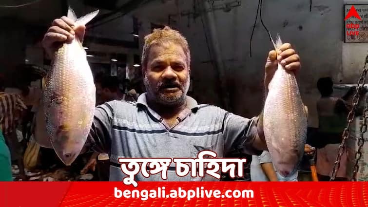 howrah news huge demand of hilsa fish on occasion of Jamai Sashthi 2024 Jamai Sashthi 2024 : কাল জামাইষষ্ঠী, তুঙ্গে ইলিশের চাহিদা; কত দাম উঠল হাওড়ার পাইকারি বাজারে ?