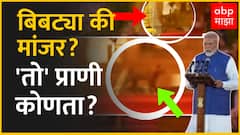 Leopard or Cat Viral Video :बिबट्या की मांजर? PM Modi यांच्या शपथविधीवेळी दिसलेला 'तो' प्राणी कोणता?