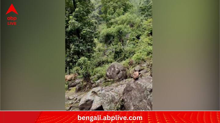 গত দুইদিন ধরে দক্ষিণ সিকিমে অবিরাম বৃষ্টির জেরে ফের ভোর রাতে ধস নামে সিমথামের এতে পুরোপুরি বন্ধ হয়ে যা ১০ নম্বর জাতীয় সড়ক। বাংলা সিকিমের বহু গাড়ি আটকিয়ে পরে দুই ধারে যোগাযোগ বন্ধ বাংলা সিকিমের।