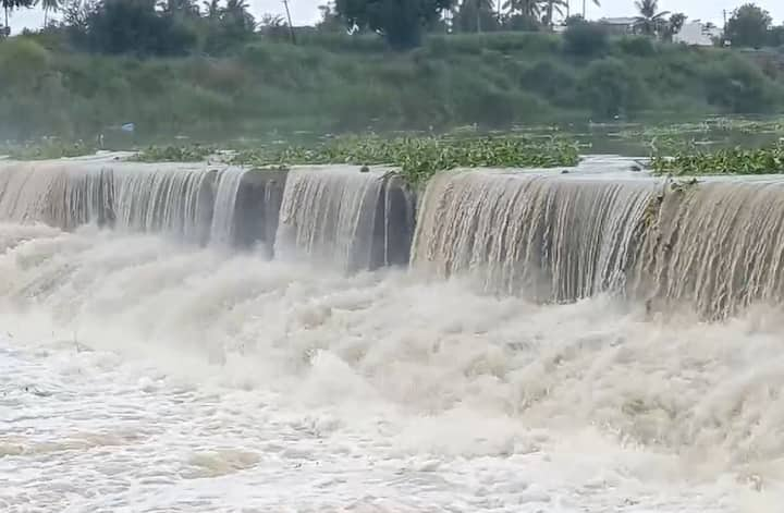 राज्यात अनेक ठिकाणी पावसाला (Rain) सुरुवात झाली आहे. काही ठिकाणी हलका ते मध्यम स्वरुपाचा तर कुठे मुसळधार पाऊस सुरु आहे.