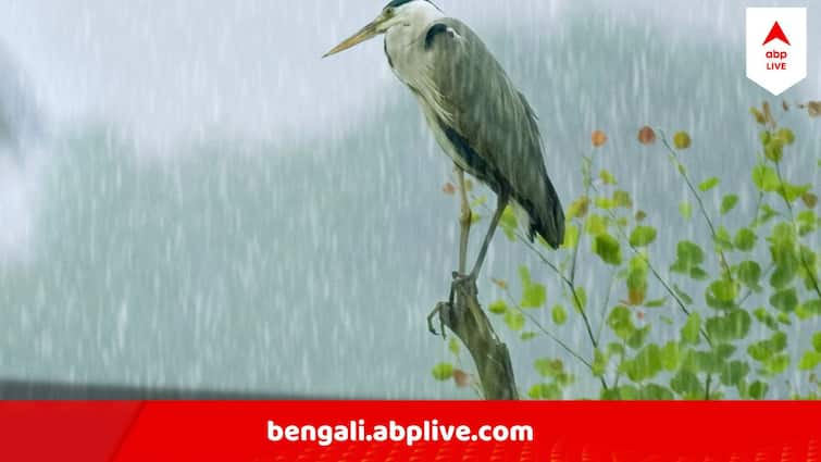 West Bengal Weather Update Heavy Rain Predicted In South Bengal Districts West Bengal Weather Update : কাঠফাটা গরমের মধ্যেই এল খুশির খবর, এই দিন থেকেই শহর ও জেলায় ঝমঝমিয়ে বৃষ্টি