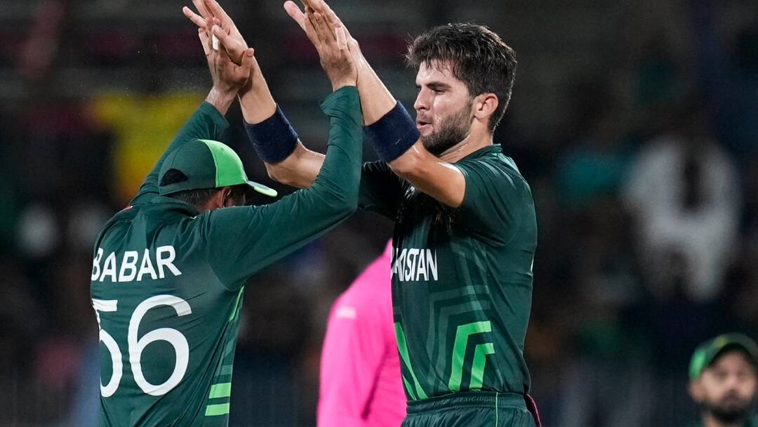 What should I do with this king who not wining matches Pakistani Batter Ahmed Shehzad lashed out Babar Azam T20 World Cup 2024: 'किंग का मैं क्या करूं जो...', बाबर आज़म को टीम के ही खिलाड़ी ने सुना दी खरी-खोटी!