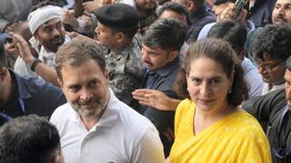 UP Politics: लोकसभा चुनाव के तुरंत बाद यूपी में एक्टिव हुए राहुल गांधी, आज प्रियंका गांधी के साथ पहुंच रहे रायबरेली