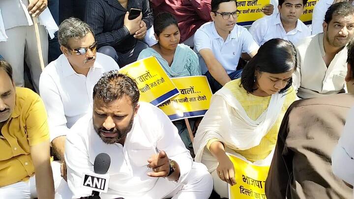 इस मौके पर आप के दिल्ली प्रदेश उपाध्यक्ष और विधायक कुलदीप कुमार ने कहा कि इस समय दिल्ली में पानी की बहुत बड़ी समस्या है. इसके लिए हम हिमाचल और हरियाणा की सरकार से मांग कर रहे थे और एलजी साहब से भी कह रहे थे कि वो दिल्ली के पानी को सुनिश्चित करें.