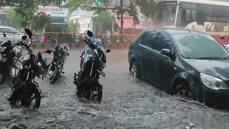 monsoon to enter gujarat in 24 hours heavy rain forecast today 24 કલાકમાં રાજ્યમાં ચોમાસાની એન્ટ્રી થશે, આજે રાજ્યનાં 18 જિલ્લામાં ગાજવીજ સાથે વરસાદની આગાહી
