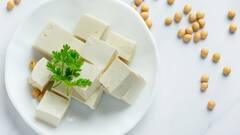 Paneer: फैक्ट्री में कैसे बनता है पनीर, जानिए किस केमिकल का होता है इस्तेमाल?