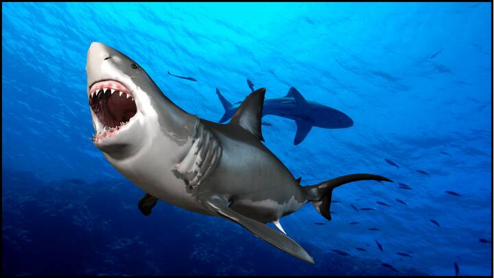 दुनिया में कई ऐसे जीव हैं जिन्हें देख कर आप इतने भीतर तक डर जाते हैं कि रात में सोने के बाद भी उन डरावने जीवों के सपने आते हैं. चलिए आपको ऐसे ही कुछ जीवों की तस्वीर दिखाते हैं.