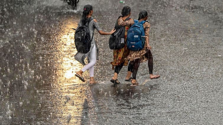 Weather in Telangana Andhra pradesh Hyderabad on 13 June 2024 Summer Rains updates latest news here Weather Latest Update: తెలుగు రాష్ట్రాలపై చక్కగా రుతుపవనాల ఎఫెక్ట్, నేడు అక్కడక్కడ వర్షాలు - ఐఎండీ