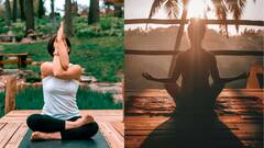 Yoga: தினமும் யோகா செய்ய போறீங்களா?நீங்க தெரிஞ்சுக்க வேண்டியவை இதோ!