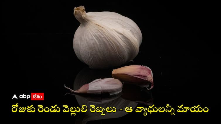 A recent study says that eating two cloves of garlic a day can reduce cholesterol and blood sugar Health Benefits of Garlic: రోజూ వెల్లులి తింటే.. ఆ రెండు వ్యాధులకు చెక్ పెట్టొచ్చట - గుడ్ న్యూస్ చెప్పిన తాజా అధ్యయనం, మొదలెట్టండి మరి!