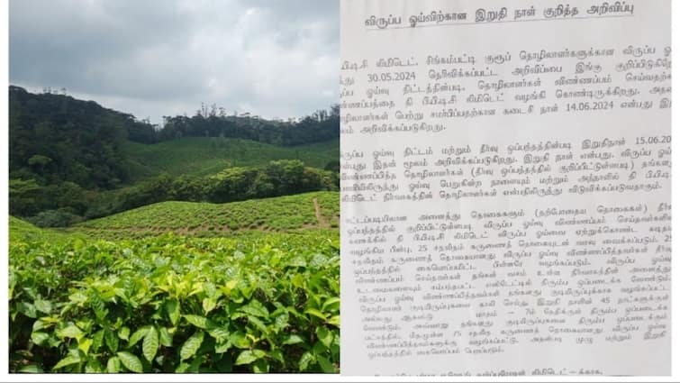 Manjolai tea plantation workers issue BBCD announcement of deadline for voluntary retirement  - TNN விருப்ப ஓய்வு இறுதிநாள் கெடு விதித்து அடுத்த அறிவிப்பு வெளியிட்ட பிபிசிடி நிர்வாகம்; கவலையில் மாஞ்சோலை தோட்ட தொழிலாளர்கள்