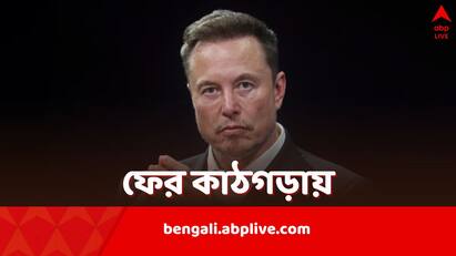 Elon Musk accused of being intimate with women intern and employee asking them to have his child Elon Musk: মহিলা ইন্টার্ন, কর্মীদের হেনস্থা, তাঁদের সন্তানের বাবা হওয়ার আবদার মাস্কের? রিপোর্ট ঘিরে তোলপাড়