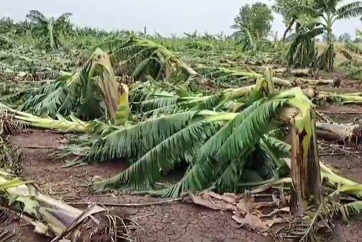केळीसह इतर फळबागांना देखील वादळी वाऱ्यासह झालेल्या पावसाचा फटका बसला आहे.