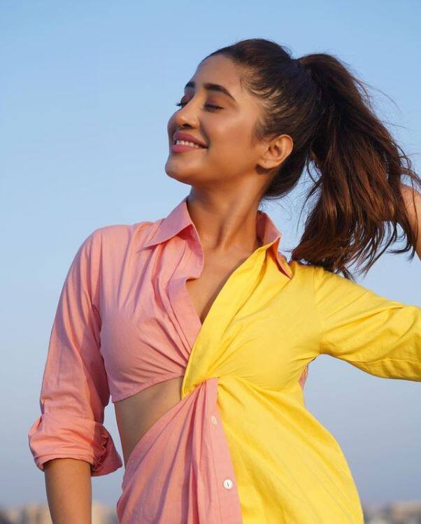 A TOI report states that popular TV actor Shivangi Joshi has also been roped in for the show.