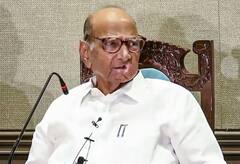 2 दिवस थांबा, सगळं सरळ करु! शेतकऱ्यांच्या प्रश्नावरुन शरद पवारांचा सत्ताधाऱ्यांवर निशाणा