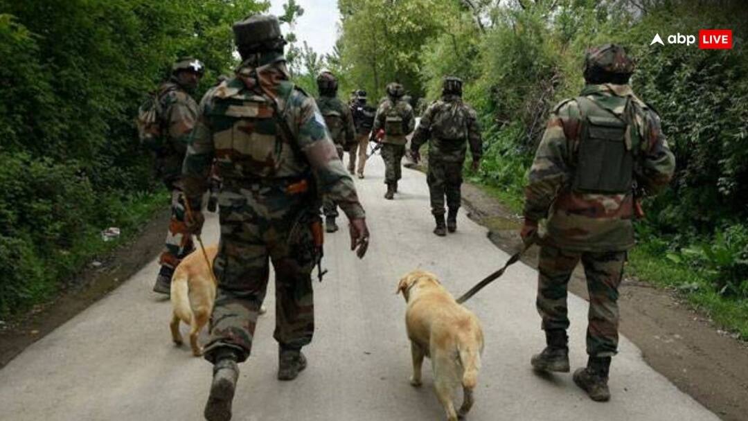 Terrorist Attack in Jammu: 3 दिन में 3 आतंकी हमलों से दहला जम्मू कश्मीर! चोटी, घाटी और गुफाओं में 11 टीमें तलाश रहीं दहशतगर्द Terrorist Attack in Jammu Kashmir Police and security force encounter and search operation kathua Reasi Terrorist attack Terrorist Attack in Jammu: 3 दिन में 3 आतंकी हमलों से दहला जम्मू कश्मीर! चोटी, घाटी और गुफाओं में 11 टीमें तलाश रहीं दहशतगर्द