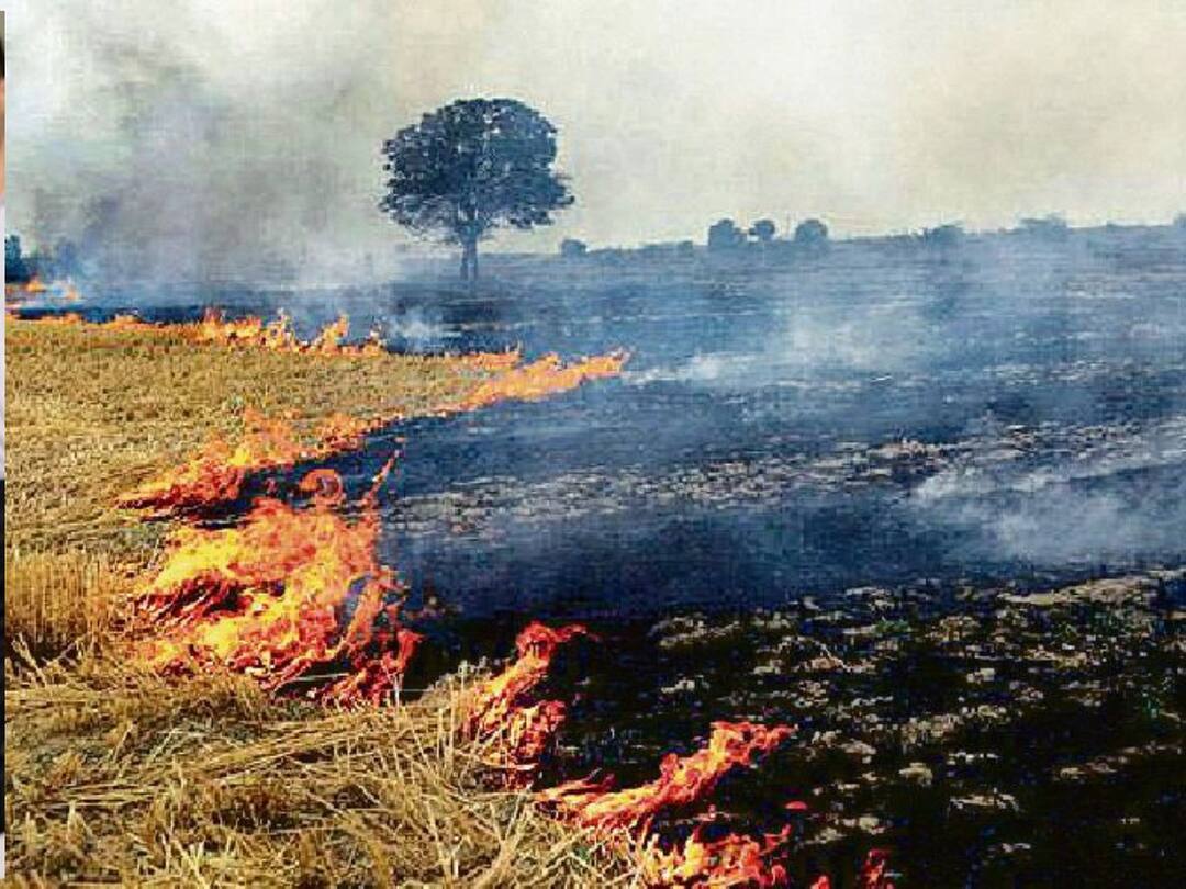 Central government strict on stubble burning plan sought from Punjab government Punjab News: ਪਰਾਲੀ ਸਾੜਨ 'ਤੇ ਕੇਂਦਰ ਸਰਕਾਰ ਸਖਤ, ਝੋਨਾ ਲਾਉਣ ਤੋਂ ਪਹਿਲਾਂ ਹੀ ਮੰਗ ਲਿਆ ਪੰਜਾਬ ਸਰਕਾਰ ਤੋਂ ਪਲਾਨ