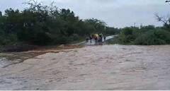 सोलापुरात आठ दिवसापासून मुसळधार पाऊस, जनजीवन विस्कळीत, अनेकांच्या घरात पाणी