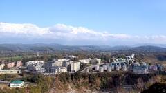 कांगड़ा के सरकारी मेडिकल कॉलेज में रैगिंग, चार सीनियर प्रशिक्षु चिकित्सकों पर एक्शन