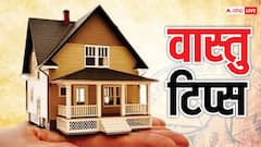 इस दिशा में रखे पेड़-पौधे बढ़ाते हैं तनाव, घर में होते हैं लड़ाई-झगड़े
