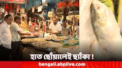 জামাইষষ্ঠীর সকালে আগুন বাজার দর, দাম বেড়েছে মাছ-ফলের, কত করে বিকোচ্ছে ইলিশ?