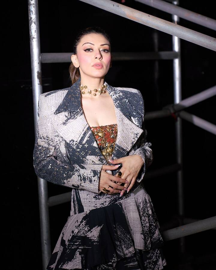 దేశముదురు సూపర్ హిట్ తర్వాత తెలుగులో వరుస అవకాశాలు అందుకున్న హన్సిక తక్కువ సినిమాలతోనే స్టార్ హీరోయిన్ స్టేటస్ అందుకుంది. ఆ తర్వాత టాలీవుడ్ లో అవకాశాలు తగ్గడంతో కోలీవుడ్ చెక్కేసింది...అక్కడ బిజీగానే ఉంది