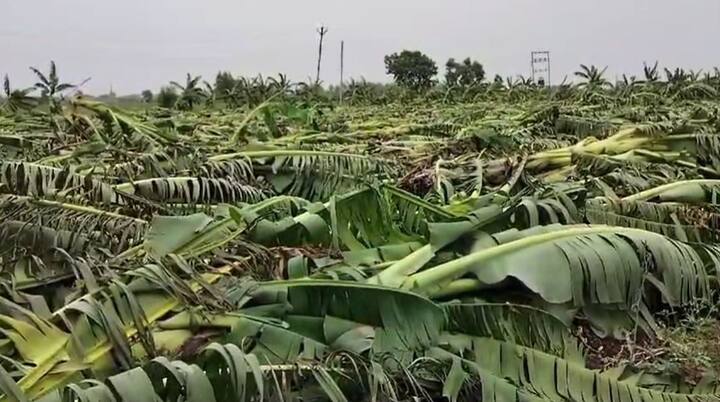 मान्सून सुरुवातीला कोकणात दाखल झाला. त्यानंतर मुंबईत दाखल झाला आहे. अनेक ठिकाणी वादळी पाऊस पडत आहे.