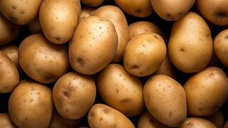 समय से पहले होने वाली मौत से बचाएगा आलू, जानिए स्टडी में आलू को लेकर क्या हुआ खुलासा?