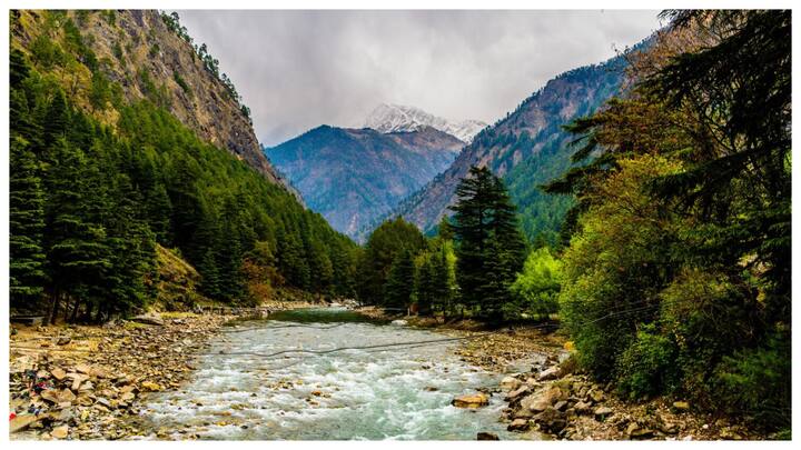 अलवर : अलवर दिल्ली से लगभग 160 किलोमीटर दूर है और यहां आप ऐतिहासिक किले, झील और सुंदर हिल्स का आनंद ले सकते हैं. यहां का सरिस्का टाइगर रिजर्व भी एक प्रमुख आकर्षण है जहां आप वाइल्डलाइफ सफारी का मज़ा ले सकते हैं.