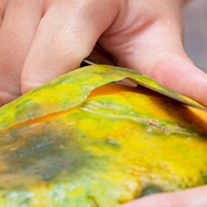 ਪਪੀਤੇ ਦਾ ਰੋਜ਼ਾਨਾ ਸੇਵਨ ਨਾ ਸਿਰਫ ਭਾਰ ਨੂੰ ਕੰਟਰੋਲ ਕਰਨ 'ਚ ਮਦਦ ਕਰਦਾ ਹੈ, ਇਸ ਦੇ ਕੋਲੈਸਟ੍ਰੋਲ ਕੰਟਰੋਲ, ਕਬਜ਼ ਤੋਂ ਰਾਹਤ, ਇਮਿਊਨਿਟੀ ਵਧਾਉਣ, ਅੱਖਾਂ ਲਈ ਫਾਇਦੇ ਆਦਿ ਵਰਗੇ ਅਣਗਿਣਤ ਫਾਇਦੇ ਹਨ। ਇਸ ਤੋਂ ਇਲਾਵਾ ਪਪੀਤੇ ਦੇ ਬੀਜ ਅਤੇ ਛਿਲਕੇ ਵੀ ਘੱਟ ਫਾਇਦੇਮੰਦ ਨਹੀਂ ਹਨ।